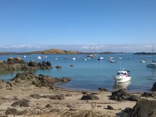 Visite des îles Chausey | Journée scolaire dans l’Archipel