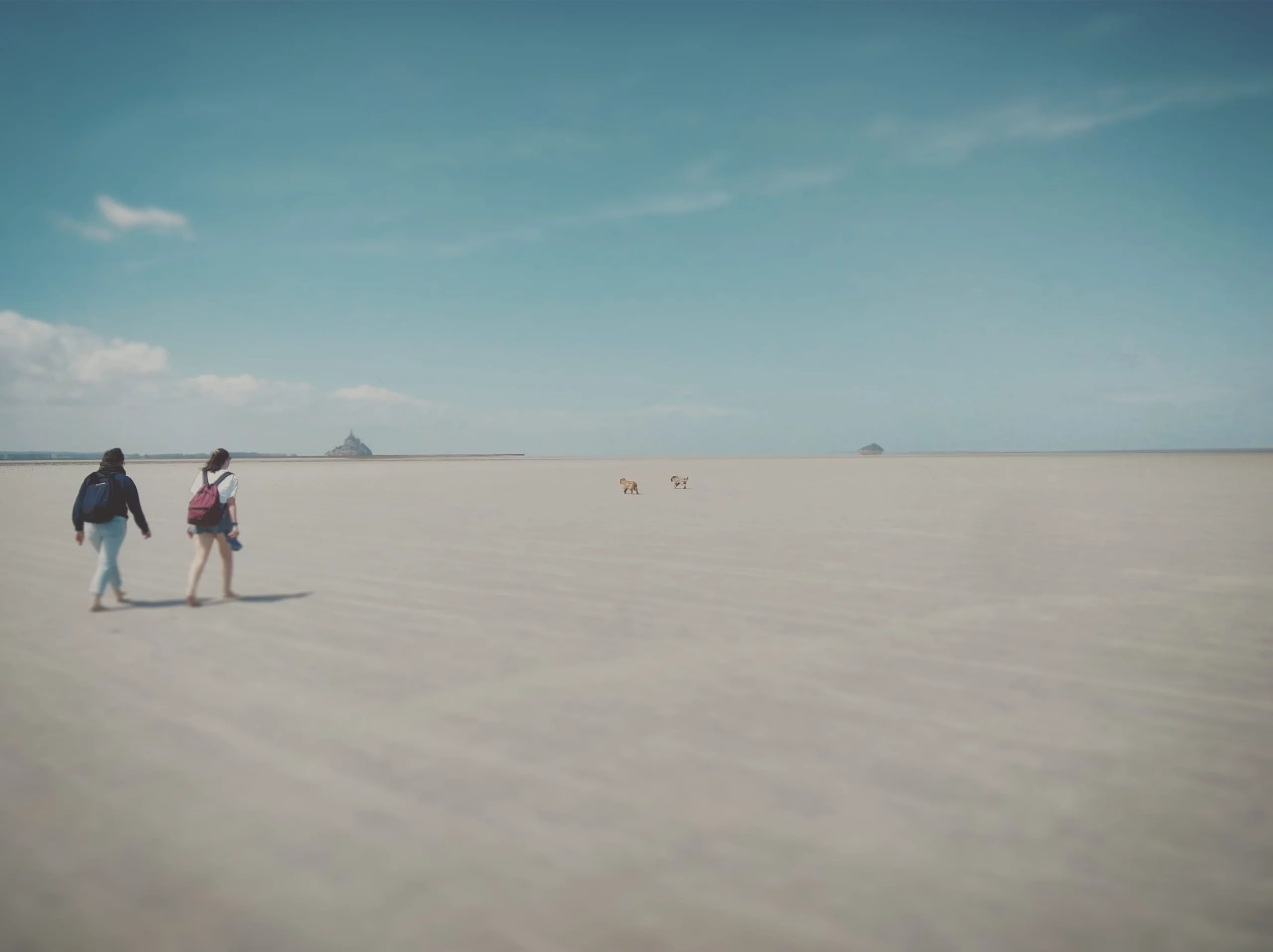 randonnée-avec-chiens-et-guide-traversée-de-la-baie-du-mont-st-michel